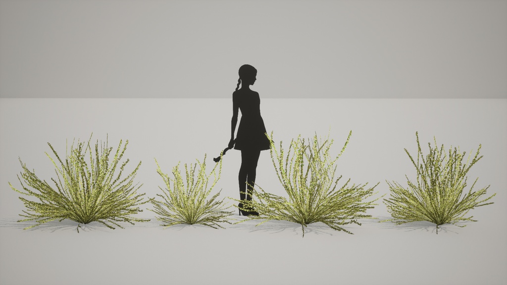 MEGA PLANT PACK - 韓国固有種10種 02パック