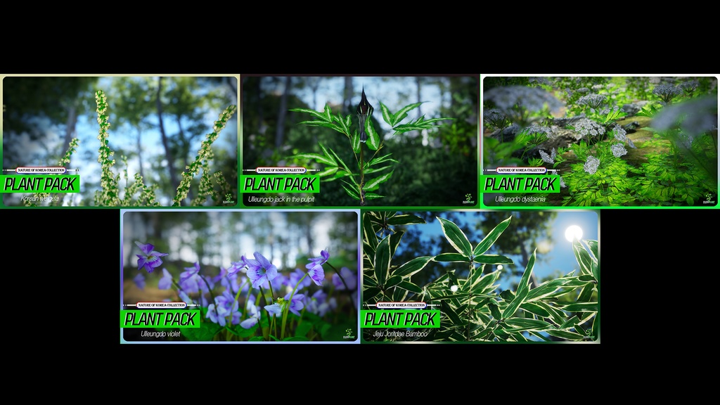 MEGA PLANT PACK - 韓国固有種10種 02パック