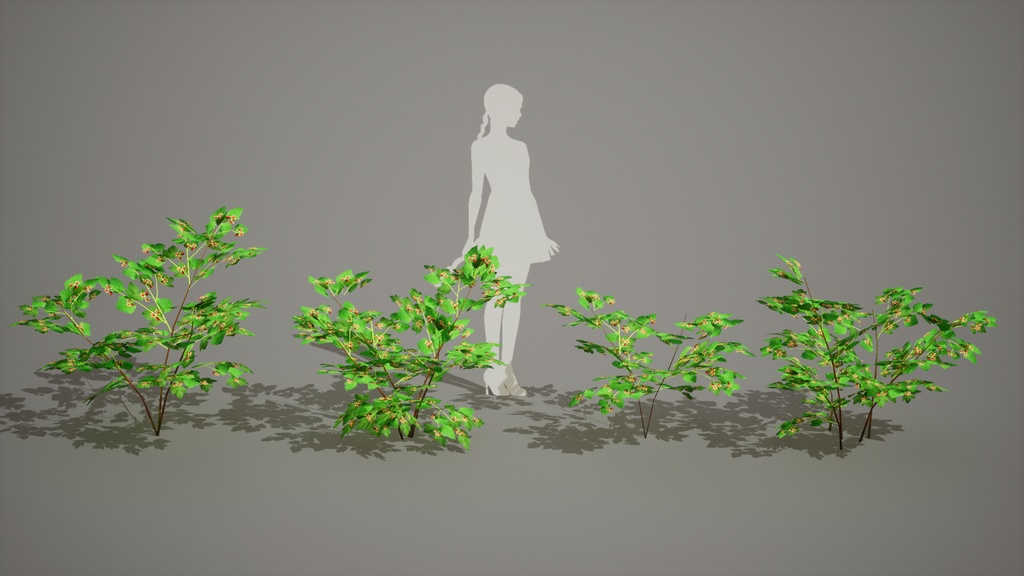 MEGA PLANT PACK - 韓国固有種10種 02パック