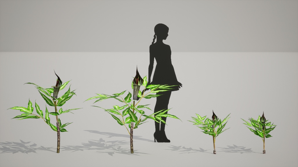 MEGA PLANT PACK - 韓国固有種10種 02パック