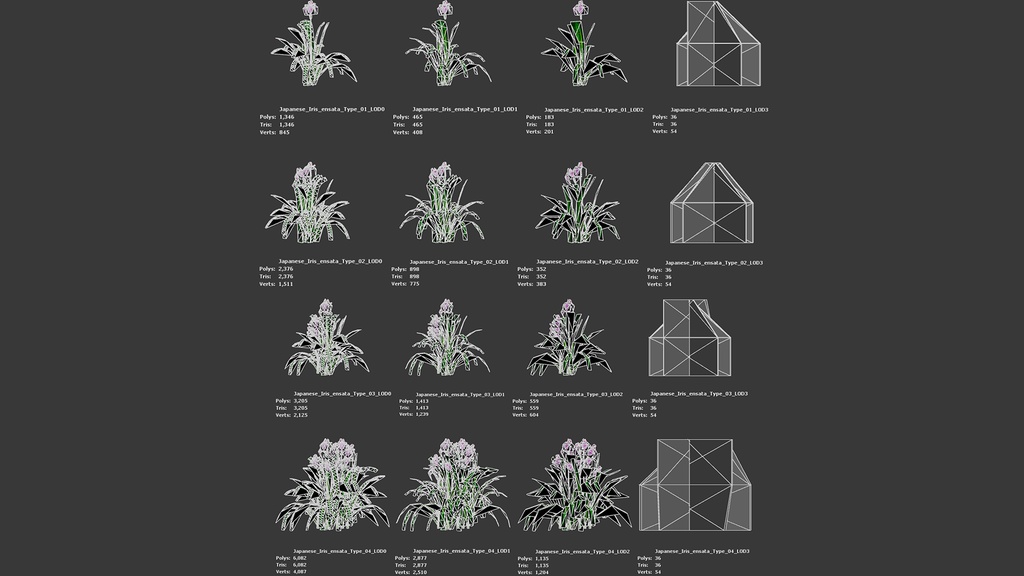 MEGA PLANT PACK - 日本固有種12種 パック