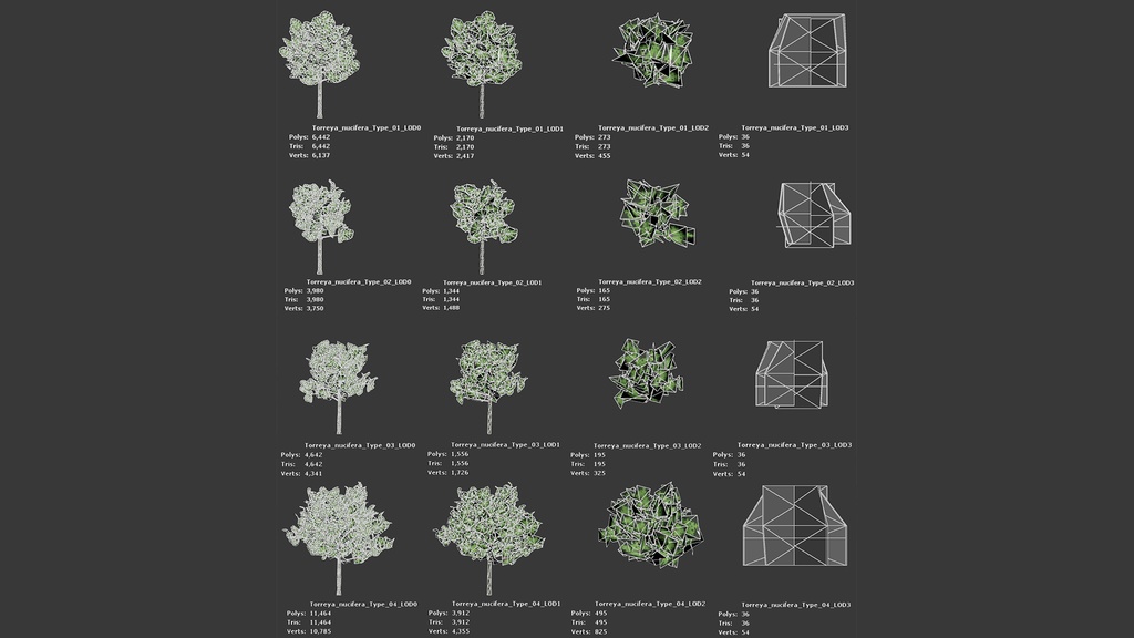 MEGA PLANT PACK - 日本固有種12種 パック