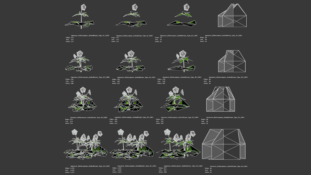 MEGA PLANT PACK - 日本固有種12種 パック