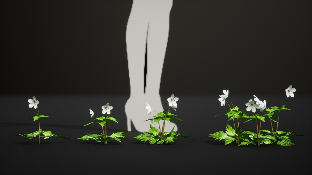 MEGA PLANT PACK - 日本固有種12種 パック