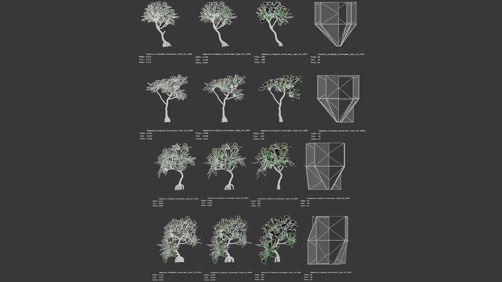 MEGA PLANT PACK - 日本固有種12種 パック