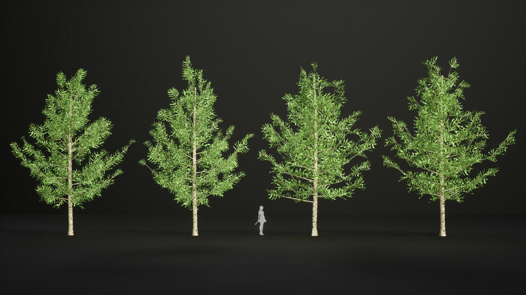 MEGA PLANT PACK - 日本固有種12種 パック