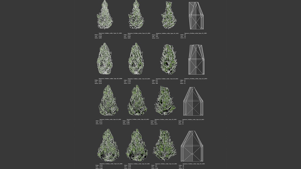 MEGA PLANT PACK - 日本固有種12種 パック