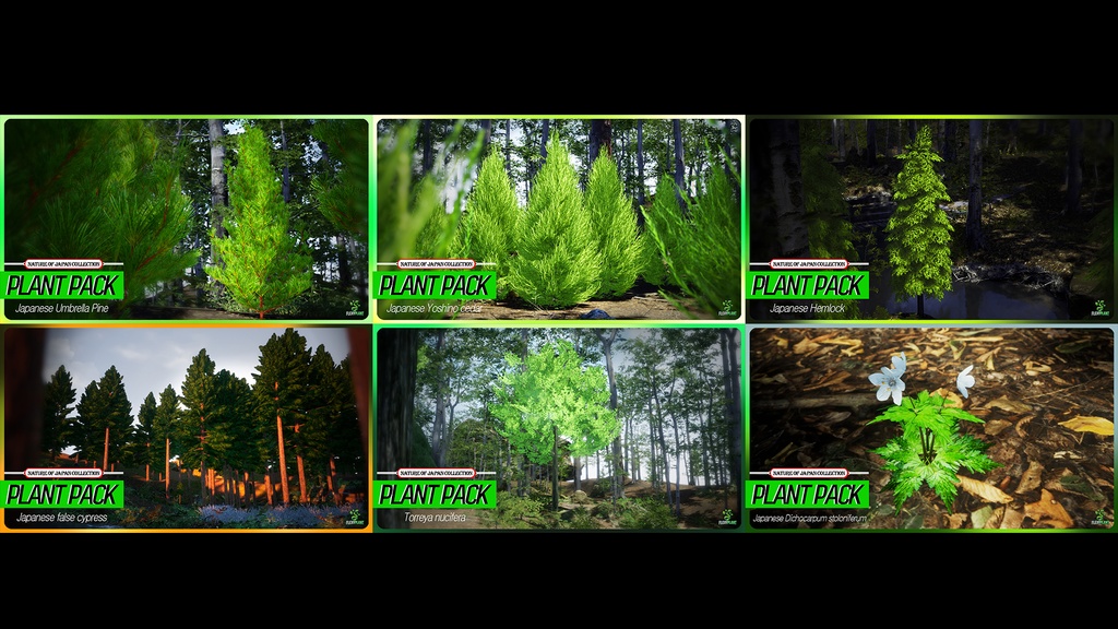 MEGA PLANT PACK - 日本固有種12種 パック