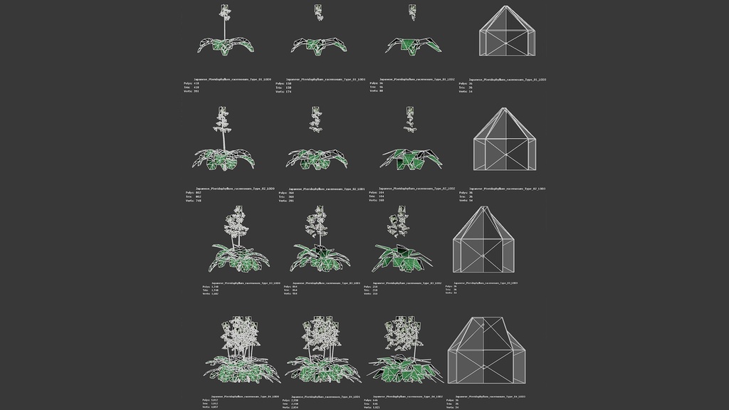 MEGA PLANT PACK - 日本固有種12種 パック