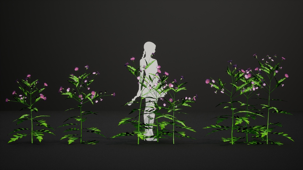 MEGA PLANT PACK - 日本固有種12種 パック