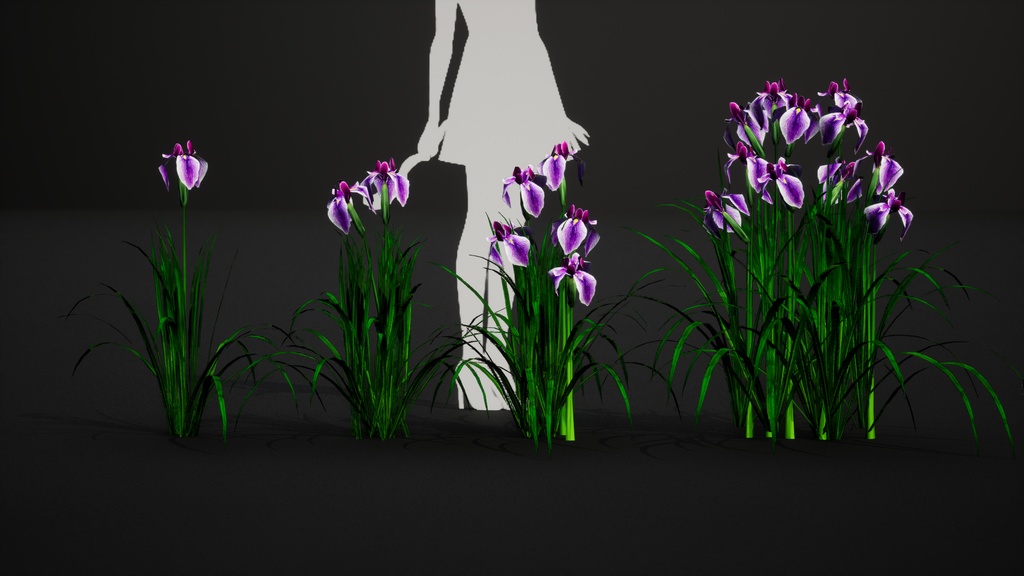 MEGA PLANT PACK - 日本固有種12種 パック