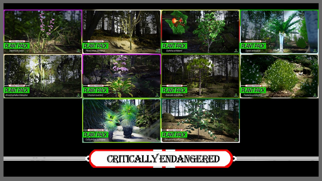 MEGA PLANT PACK - IUCN指定絶滅危惧植物 45種パック