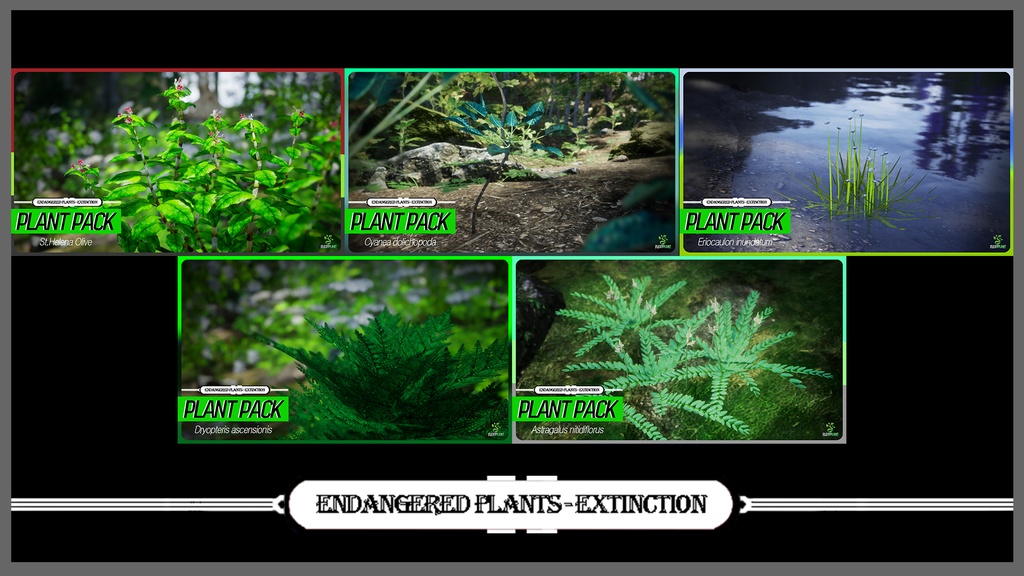 MEGA PLANT PACK - IUCN指定絶滅危惧植物 45種パック