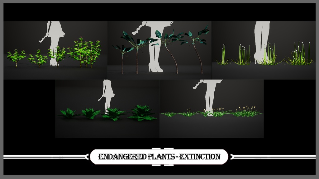 MEGA PLANT PACK - IUCN指定絶滅危惧植物 45種パック