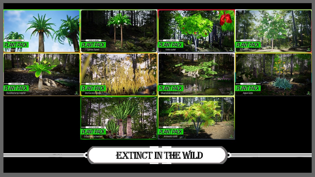 MEGA PLANT PACK - IUCN指定絶滅危惧植物 45種パック