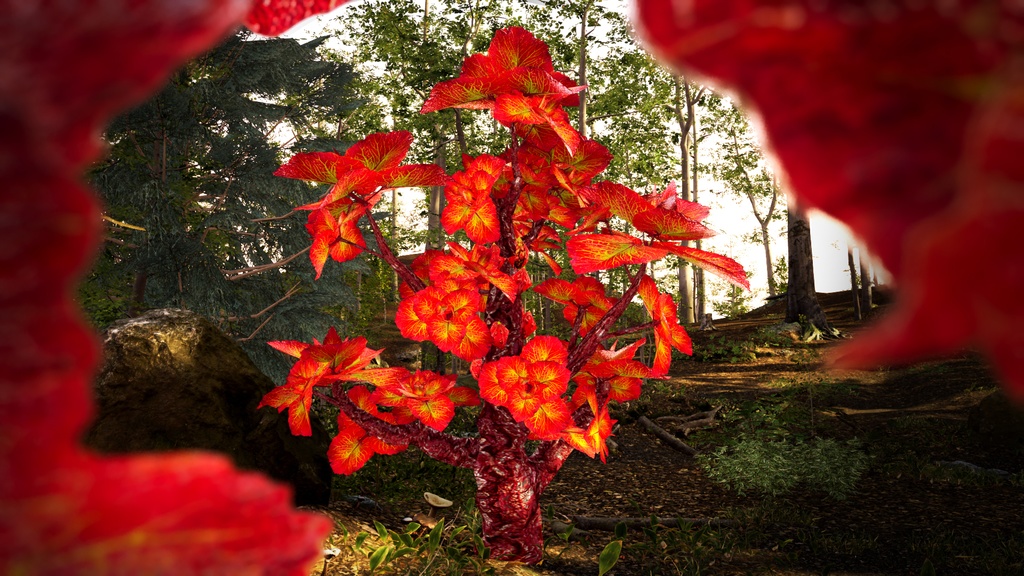 赤い蜂巣生姜の樹 レッド・ビーハイブ・ジンジャー・ツリー 3Dモデル