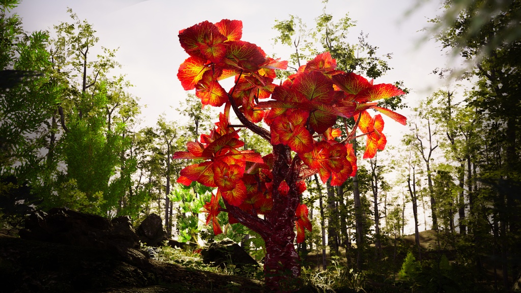 赤い蜂巣生姜の樹 レッド・ビーハイブ・ジンジャー・ツリー 3Dモデル