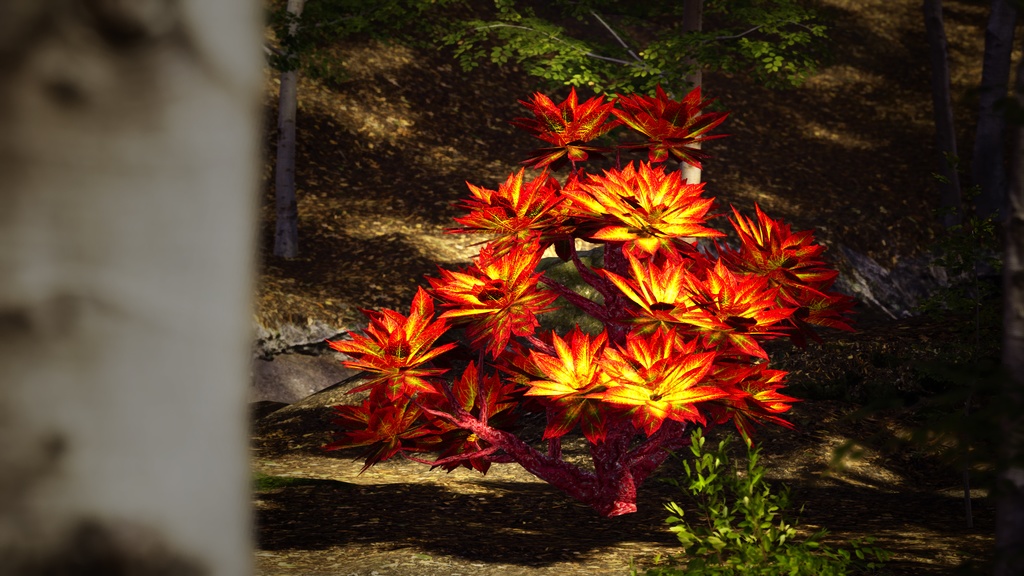 魔法の森の象徴 ジェリルダリー・レッドツリー 3Dモデル