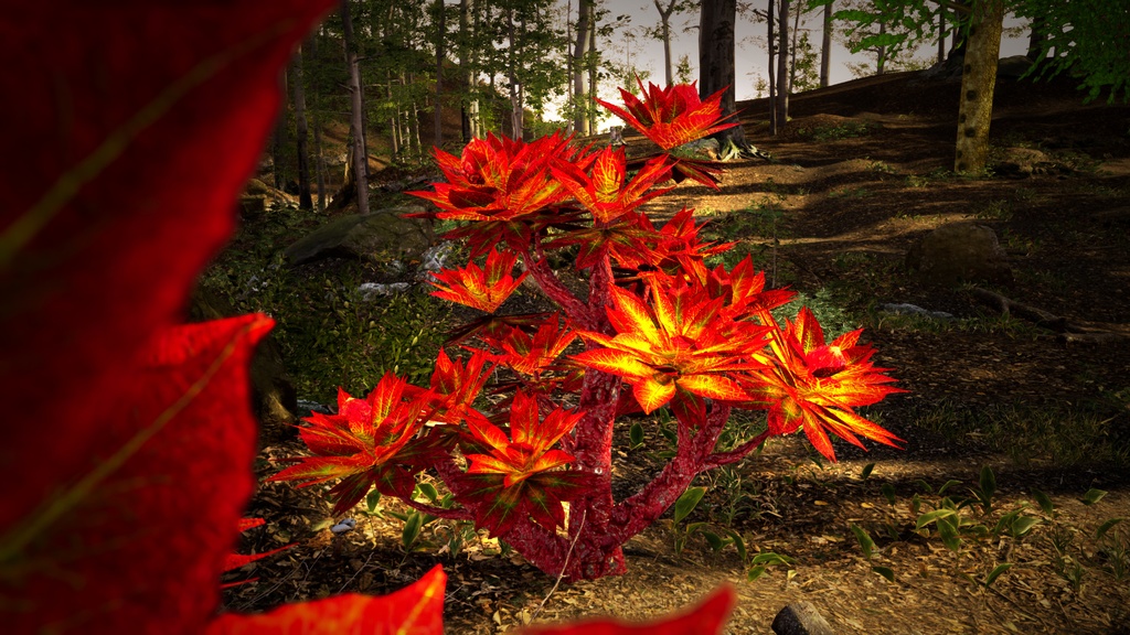 魔法の森の象徴 ジェリルダリー・レッドツリー 3Dモデル