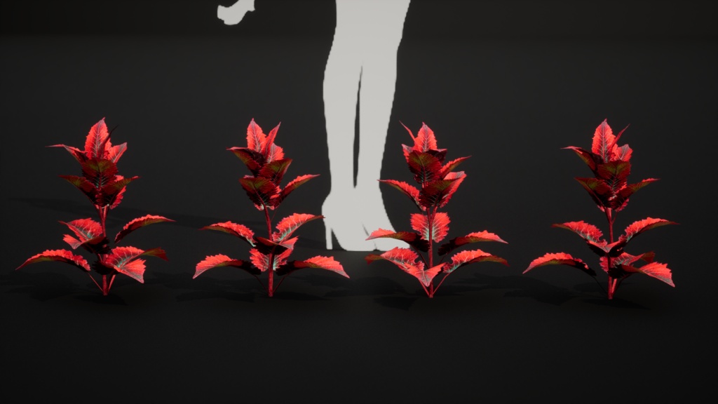 赤いクモのシダ 10種メガ・プラントパック