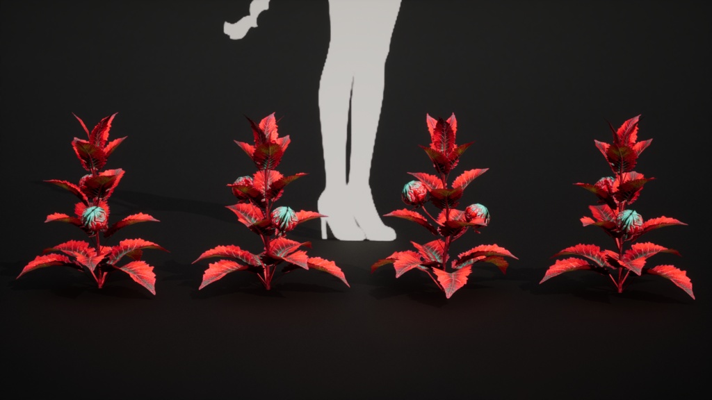 赤いクモのシダ 10種メガ・プラントパック