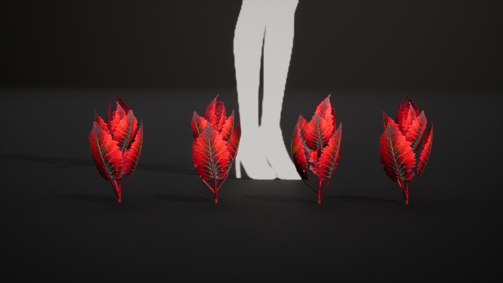 赤いクモのシダ 10種メガ・プラントパック