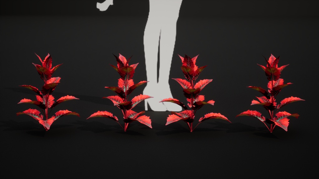 赤いクモのシダ 10種メガ・プラントパック