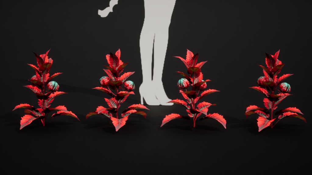 赤いクモのシダ 10種メガ・プラントパック