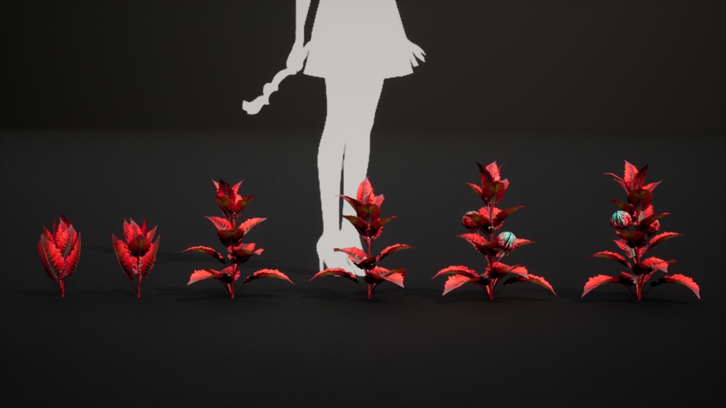 赤いクモのシダ 10種メガ・プラントパック