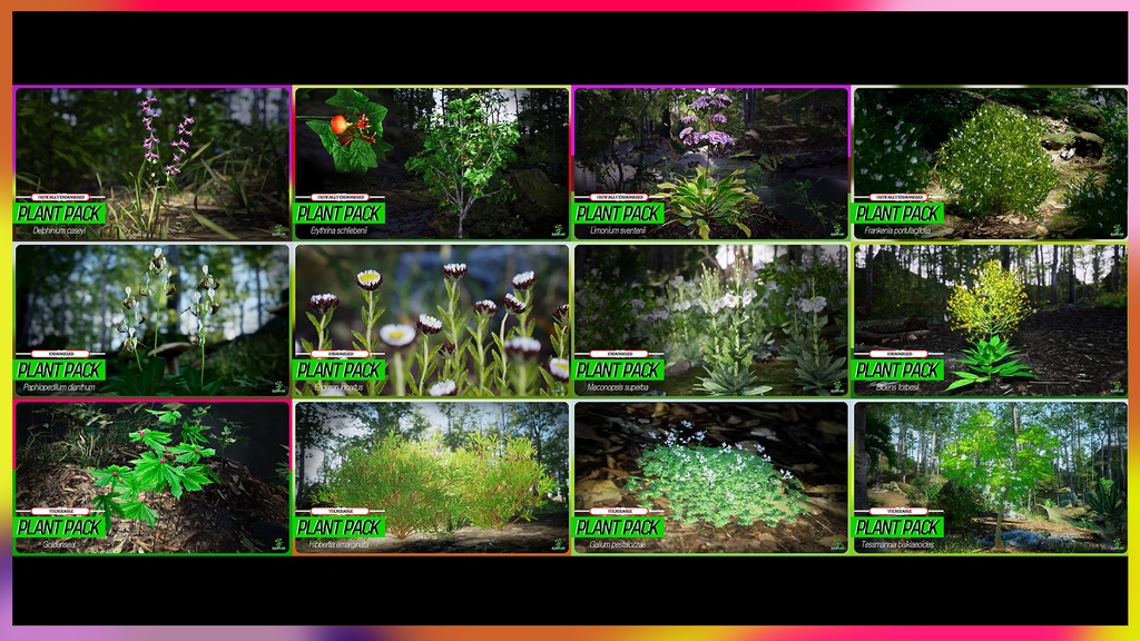 MEGA PLANT PACK - 世界の花々コレクション 38種