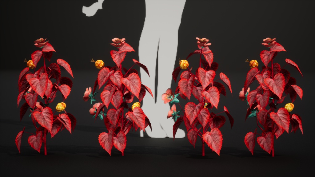 マゼンタ・ポインセチア・フラワー 3Dモデル