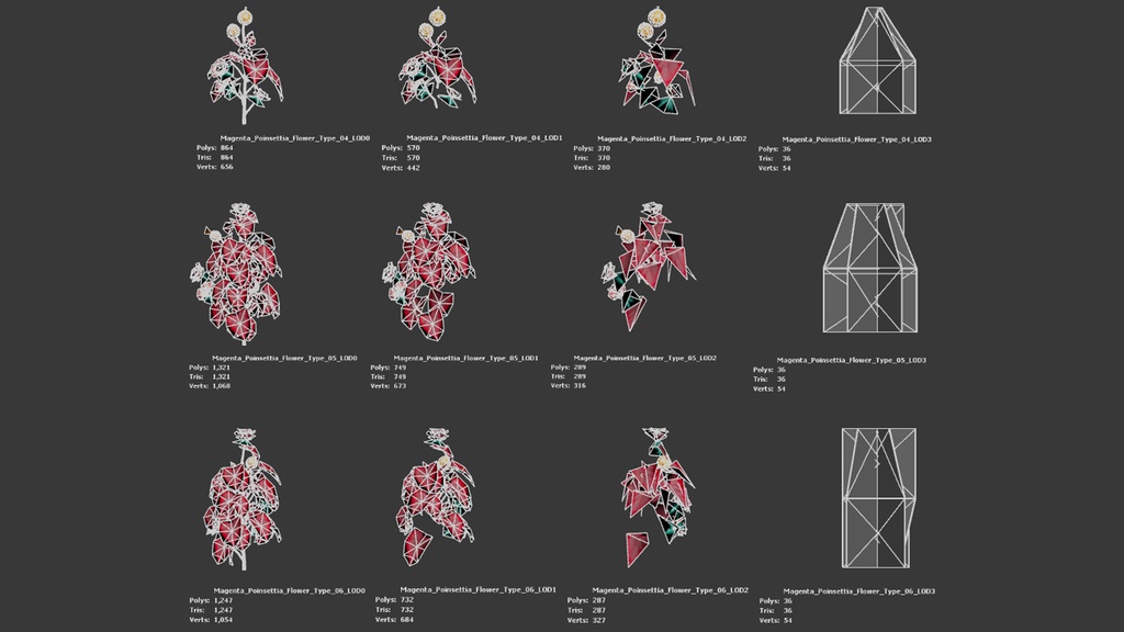マゼンタ・ポインセチア・フラワー 3Dモデル