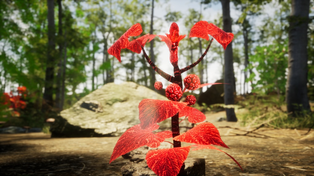 山の魔法の赤い実 マウンテン・マジック・レッドベリー 3Dモデル