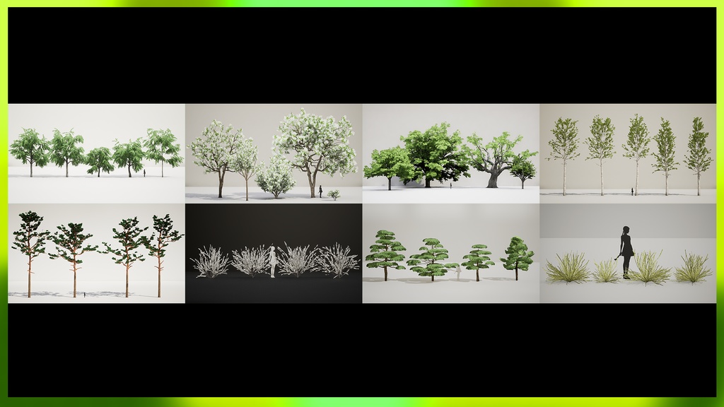 MEGA PLANT PACK - アジアの樹木コレクション 24種メガ・プラントパック