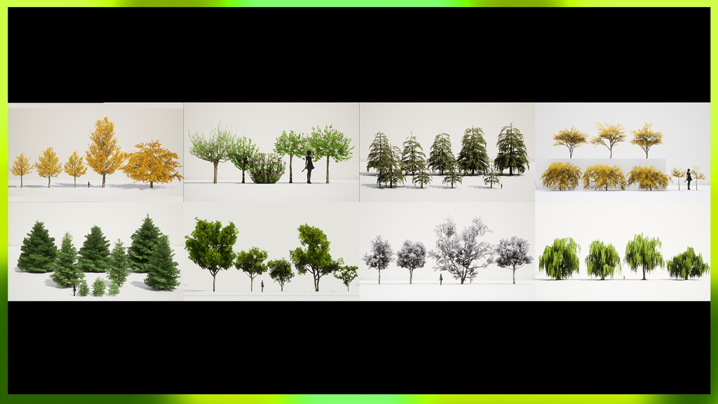 MEGA PLANT PACK - アジアの樹木コレクション 24種メガ・プラントパック