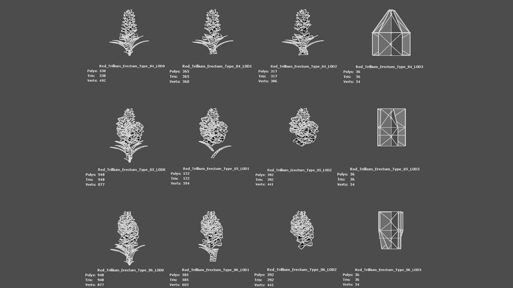 赤いトリリウム・エレクトゥム 3Dモデル
