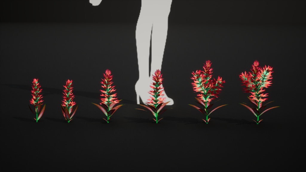 赤いトリリウム・エレクトゥム 3Dモデル