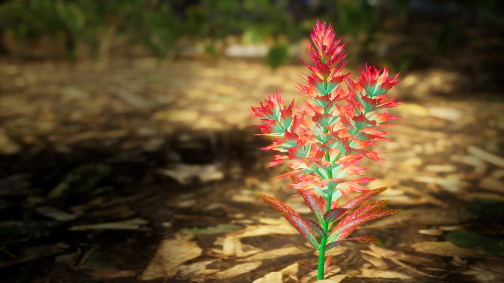 赤いトリリウム・エレクトゥム 3Dモデル