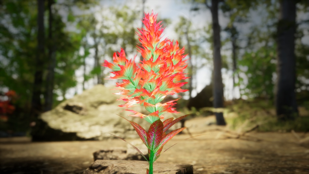 赤いトリリウム・エレクトゥム 3Dモデル