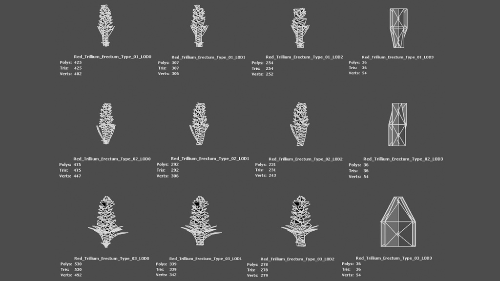 赤いトリリウム・エレクトゥム 3Dモデル