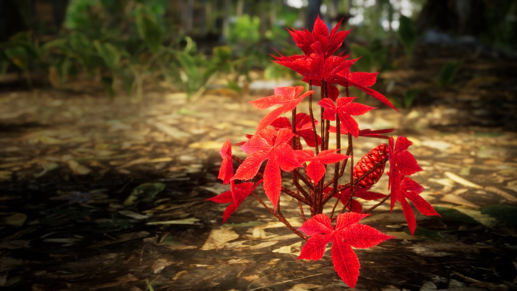 赤いサンザシの実 3Dモデル