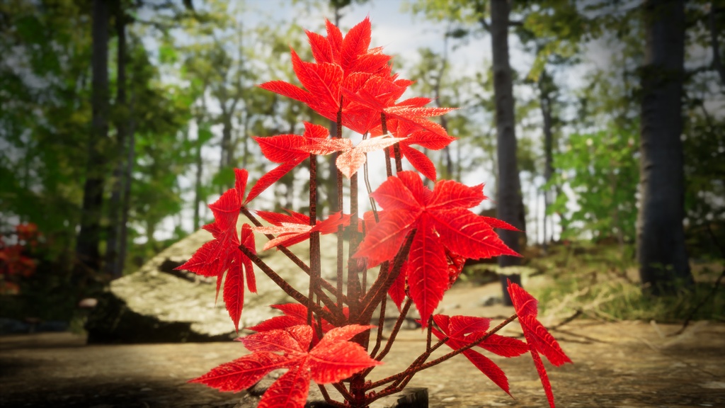 赤いサンザシの実 3Dモデル