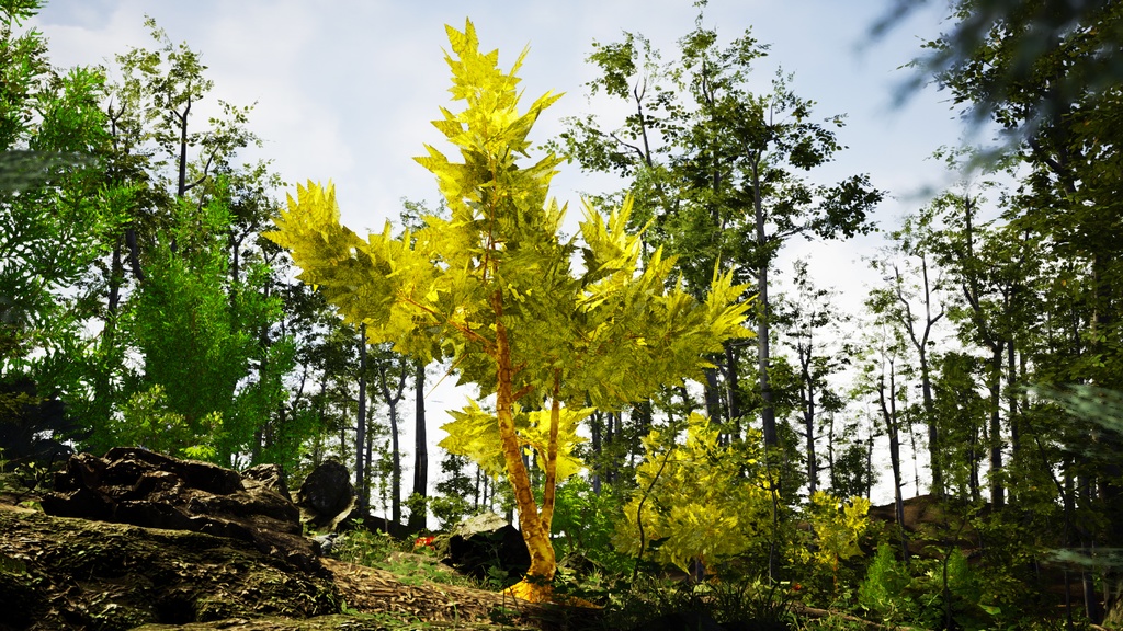琥珀の花咲く樹 アンバー・ブルーム・ツリー 3Dモデル