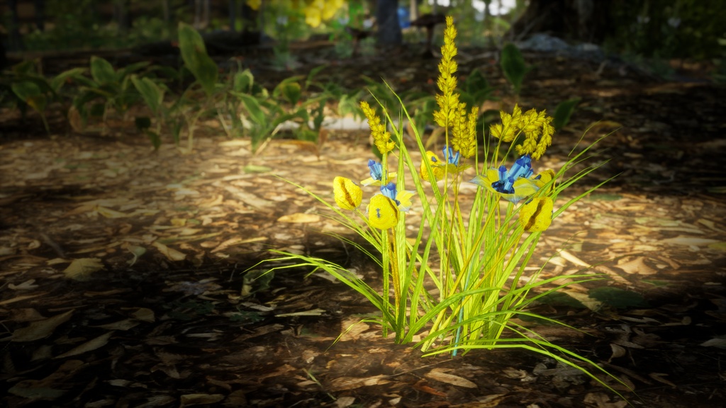 太陽の輝きを放つ サンバースト・ジェム・ファーン 3Dモデル