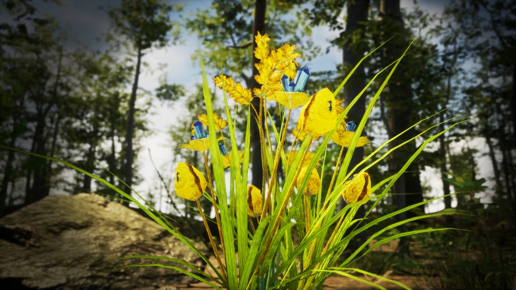 太陽の輝きを放つ サンバースト・ジェム・ファーン 3Dモデル