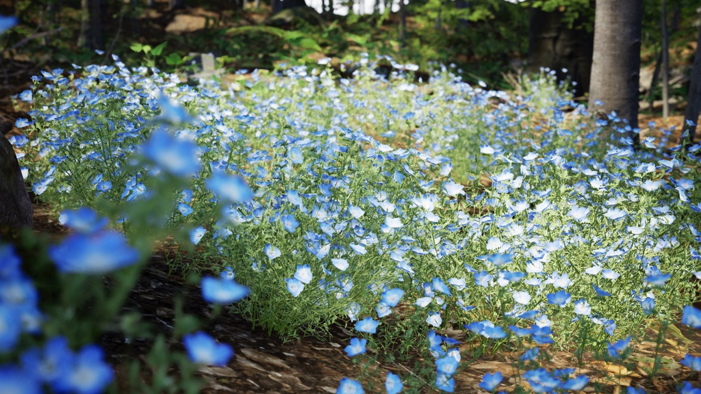 Street garden in Japanシリーズ, 4 ネモフィラ