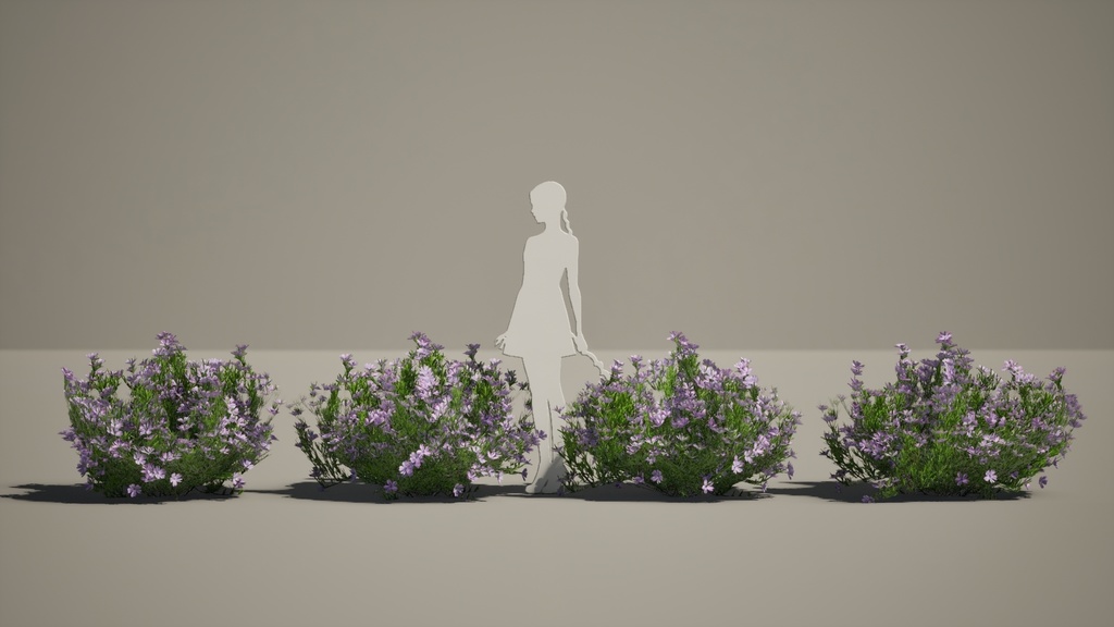 Street garden in Japanシリーズ, 4 シバザクラ