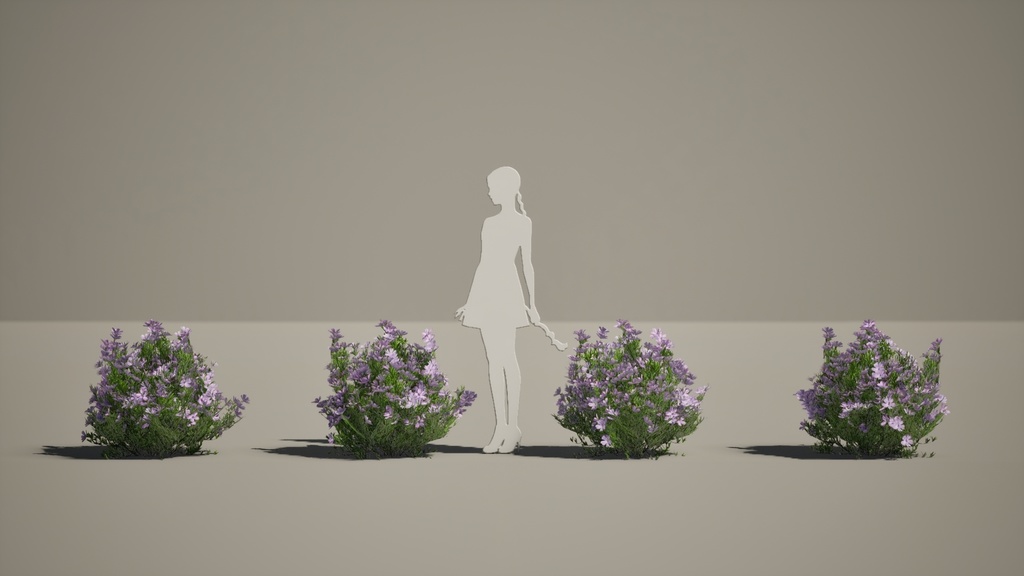 Street garden in Japanシリーズ, 4 シバザクラ