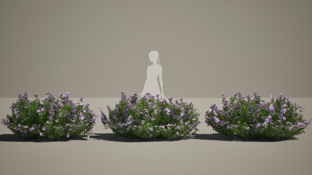 Street garden in Japanシリーズ, 4 シバザクラ