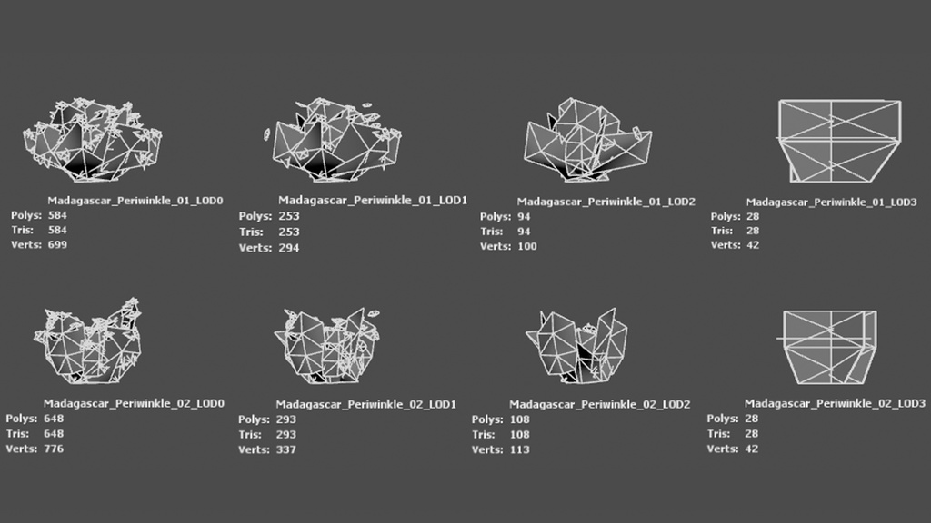 Street garden in Japanシリーズ, 4 日々草